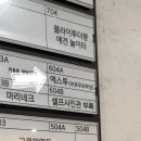 에스투왁싱