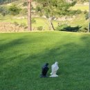 이글몬트cc 이미지