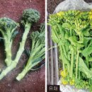 준혁농장 이미지