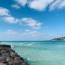 신세계문경부동산중개사무소 | 제주 건강검진 병원조회와 추천 기준