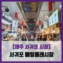 54번가 | 서귀포 시장] 서귀포 매일올레시장 - #직접체험 롤카츠 올레 54번가 야시장 오징어버터구이 솔직 리뷰 후기