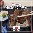 일본 시즈오카 장어덮밥 현지인 맛집 우나기노 하라가와 메뉴 가격 위치 후기