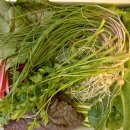 덕평목장 이미지