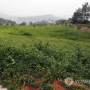 도곡지구 화장실 이미지