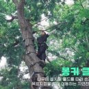 주식회사 초원
