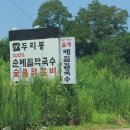 두리봉막국수 이미지