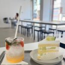 우유멜론케이크가 맛있는 카페 호픈 은평구 디저트 후기