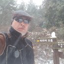 260508 - Green Field(The Brothers Four) 이미지