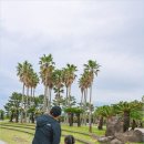 제주도 서귀포 가볼만한곳 대포해안 주상절리 가족 여행 코스 추천