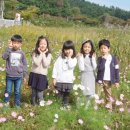 까르따스유치원 네이버블로그