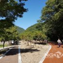 내장산국립공원 백암사무소 이미지