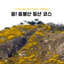 임계 동산 아파트  입구 옆 | 곳, 응봉산 등산 코스 추천 :: 노랗게 물든 개나리 동산 :: 서울의 가장 아름다운 한강뷰 :: 응봉산...