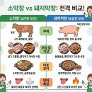 소돼지축산 이미지