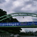 씨름홍보 인형극 | 2019 충주세계무술축제 기간, 장소 그리고 무술 박물관, 택견 전수관 가다~