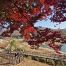 심공인중개사사무소 이미지