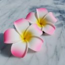 호텔도스 | 여행] 괌 일정 추천(1,2일차)- 베이뷰,츠바키호텔 후기/도스버거/괌 쇼핑(기프트샵,abc스토어)/타...