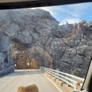 와달리 공중화장실 이미지