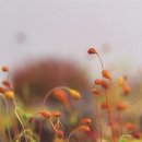 손주약국 이미지