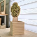 하대원어린이집 이미지