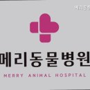 메리 동물병원 이미지