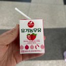 베베핀 뮤지컬 우당탕탕 패밀리 과천과학관 어울림홀 주차 관람 후기