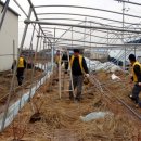 김인식농장 이미지