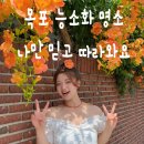"목포 능소화 명소 | 7월 무가보 카페 앞 능소화 개화시기 실사 인생샷 후기"