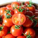 주)진농장 이미지