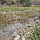 산천평상 | 가평조용한캠핑장 추천! 산천밥주는캠핑장에서 보낸 힐링 캠핑 후기