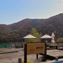 아담다방 이미지