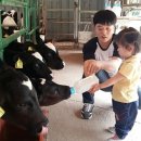 건우목장 이미지