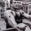 메이저휘트니스클럽 이미지