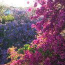 국제성서박물관 | 세비야 여행 하루 코스 추천 / 알카사르·대성당·스페인광장 효율 동선 정리