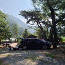 남천1리 솔밭공원 이미지