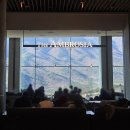 델피노 I 이미지