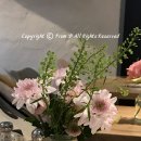 프롬디(From:D) 이미지