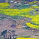 일레븐 당구장 이미지