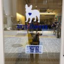 아토커피 왕십리 이미지