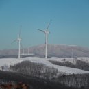 1월18일 정기산행 선자령 이미지