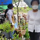 전북가드닝아트협동조합 이미지