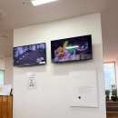 서울봉은초등학교 | 흙놀이·쿠킹 클래스까지 즐기는 프리미엄 오감 체험! 내돈내산 솔직 방문 후기 🍓🎨 🌿 (예약·주차 팁)
