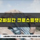 와일드 PC 이미지