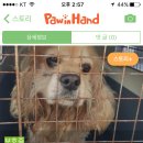 테오종합동물병원 이미지