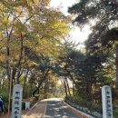 불서각 | [수원 당일치기 여행] 봉녕사 :: 낙엽에 물들어있는 사찰