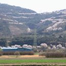 운산약국 이미지