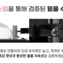 멘토걸