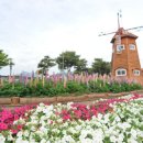 곡성-179 티스토리