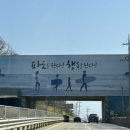 남애항물회 이미지