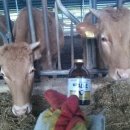 와우한우농장 이미지