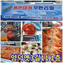 싱싱붉은대게무한리필 티스토리